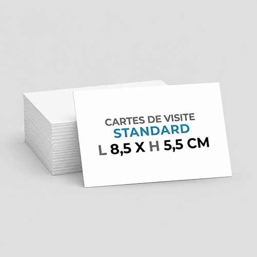 Carte de visite Format 8,5 x 5,5 cm